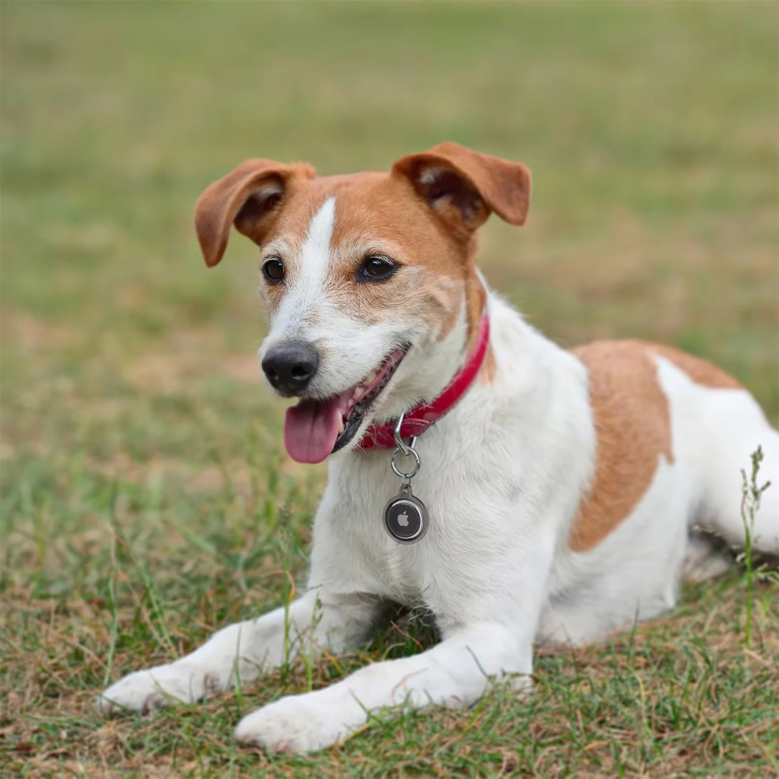 Premium Transparent Waterproof TPU AirTag Case – Full Protective Shell with Anti-Lost Keychain, Shockproof Pet Collar Tracker Cover